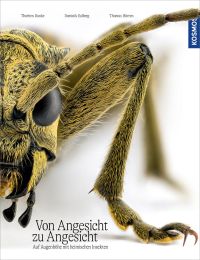 Von Angesicht zu Angesicht Auf Augenhöhe mit heimischen Insekten - faszinierende Fotos und wissenswerte Wunderfakten